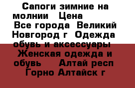 Сапоги зимние на молнии › Цена ­ 5 900 - Все города, Великий Новгород г. Одежда, обувь и аксессуары » Женская одежда и обувь   . Алтай респ.,Горно-Алтайск г.